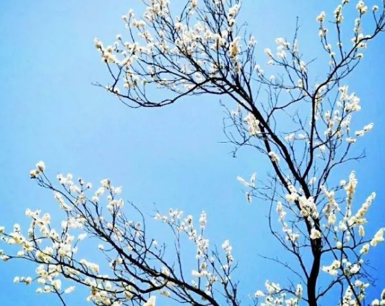 山西财经大学2015-2017年各省市区录取分数线