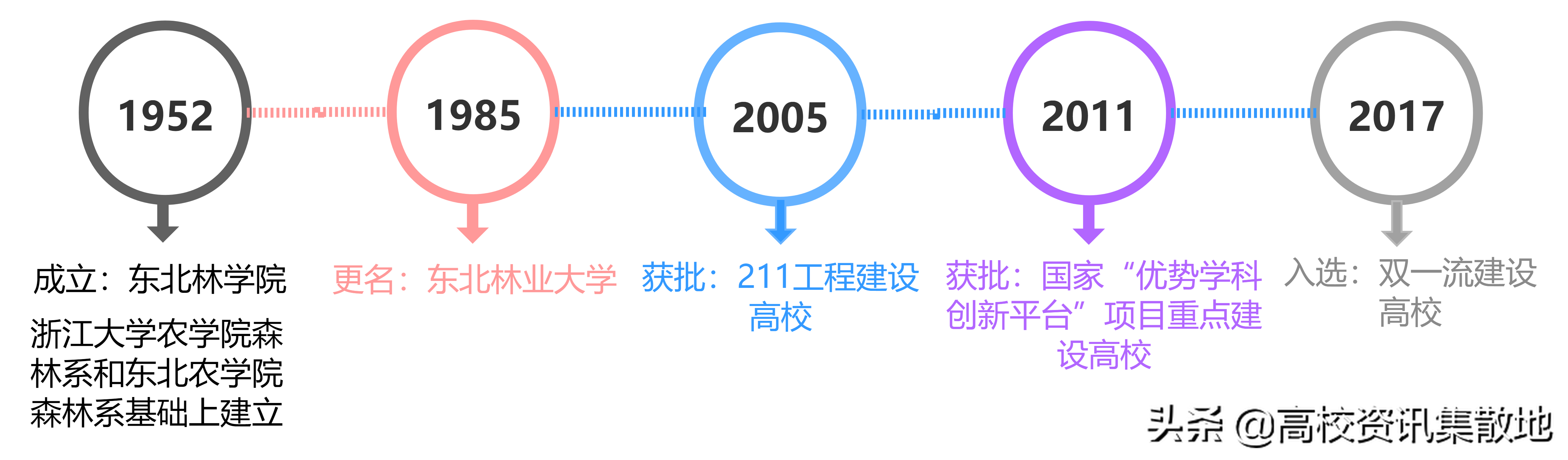 王牌专业就業率竟然最低！探寻东北林业高校的翘楚