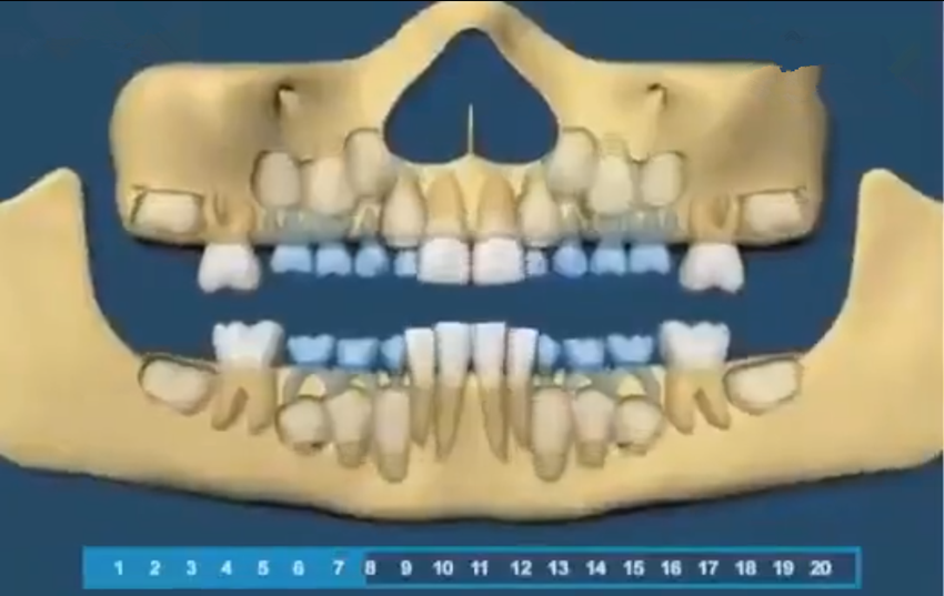 组图带你了解宝宝的牙齿生长顺序，一目了然，爸妈再也不用纠结了