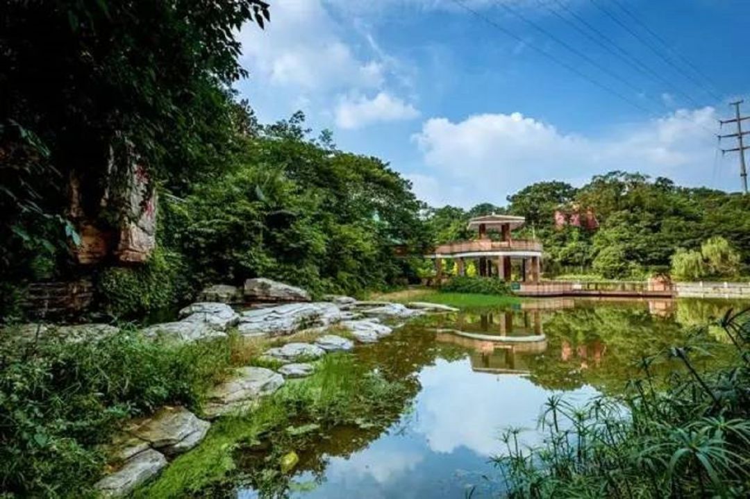 天津外国语、四川外国语两所大学，2021考生怎样选择？