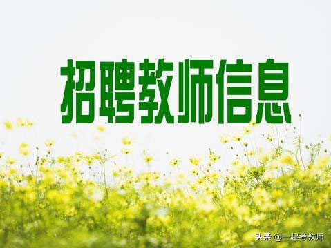 教招公告｜2020河南郑州市中原区招聘教师260人考试公告