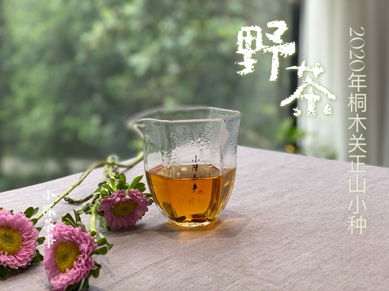 红茶怎么冲泡更好喝？带你了解正确的冲泡方法，新手小白也能懂