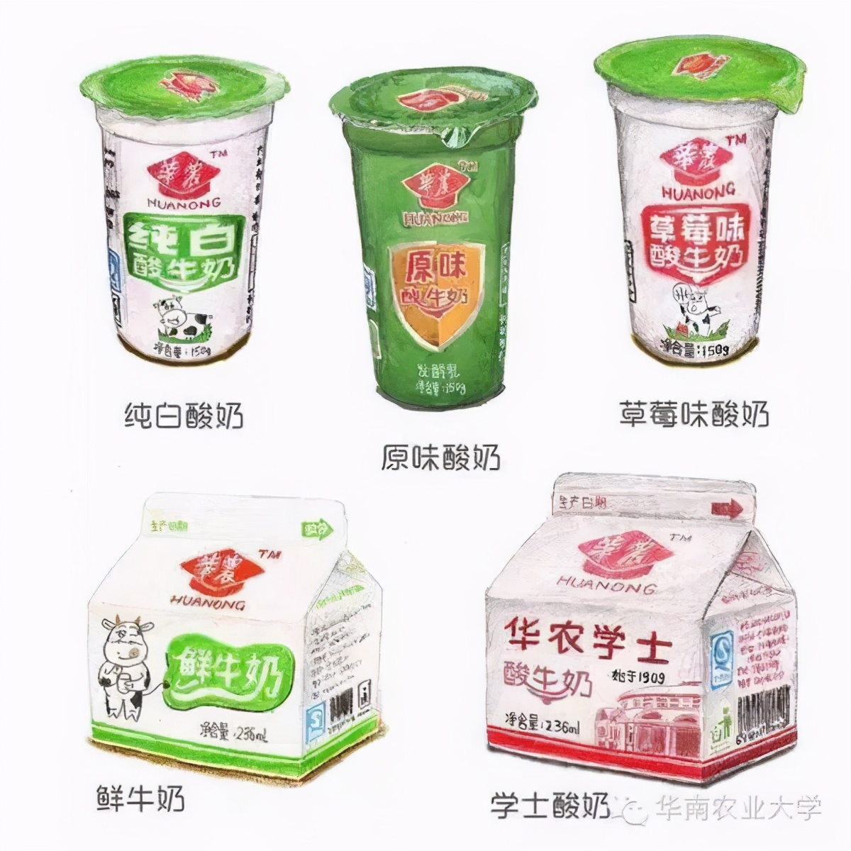 酸奶最好的品牌（酸奶有哪些牌子）