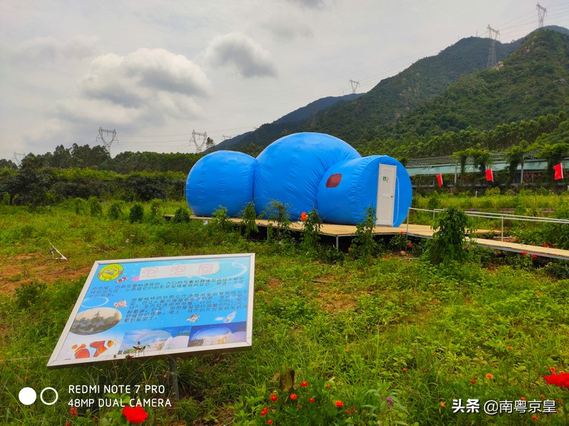 清远北江河边有个小渔村~白庙，还有个娃娃鱼养殖基地雪鲵庄园