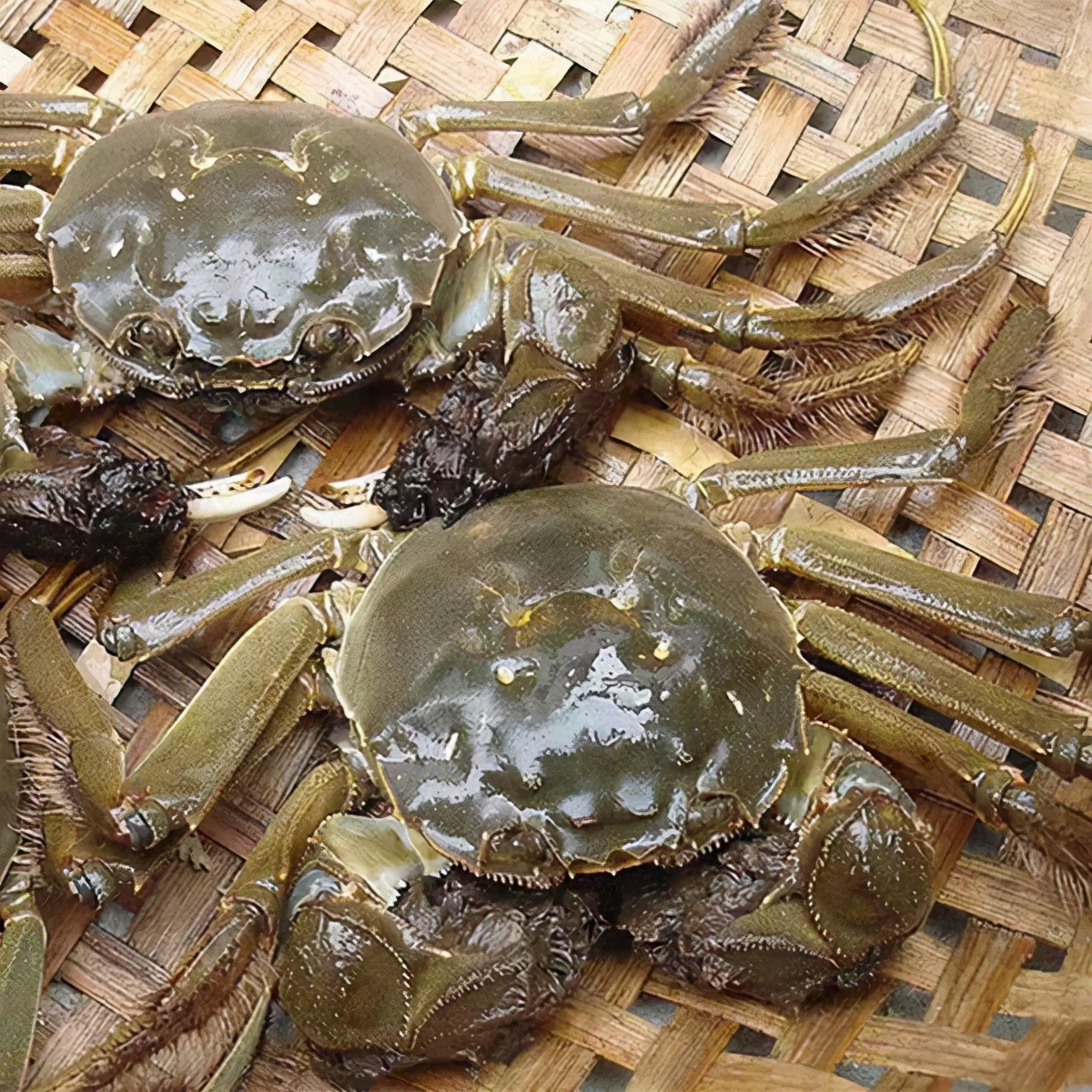 全国大闸蟹排行榜-全国大闸蟹排名 - 114知识网