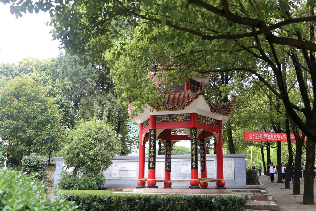 湖南邵阳2020高考成绩，邵东一中势头强劲，包揽邵阳市文理状元