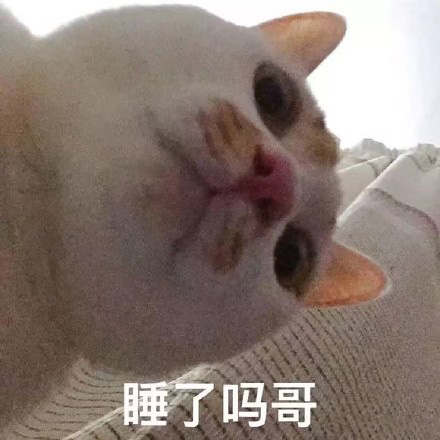 猫咪表情包合集｜我没事，我很快乐