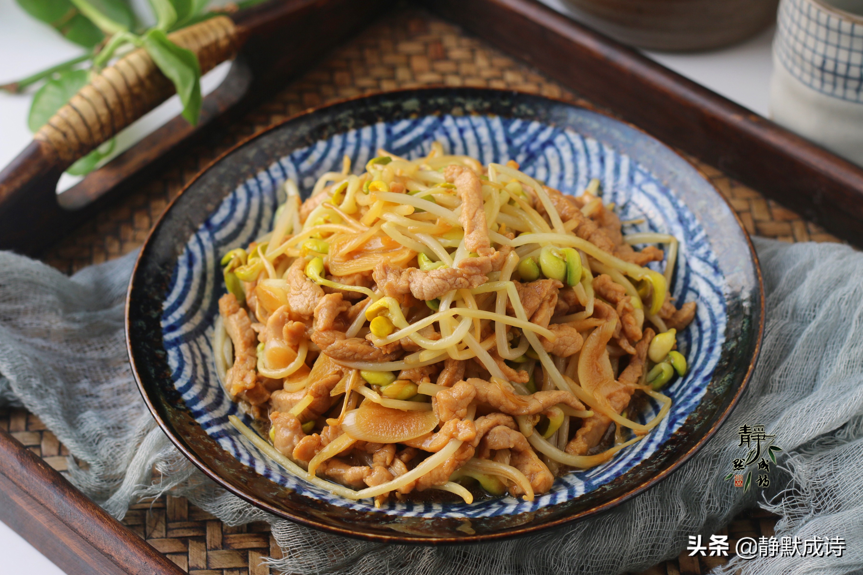 黄豆芽炒肉（一文详解分享黄豆芽炒肉的做法）