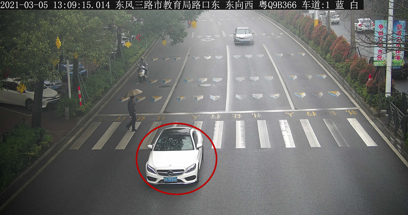 交通违法曝光！