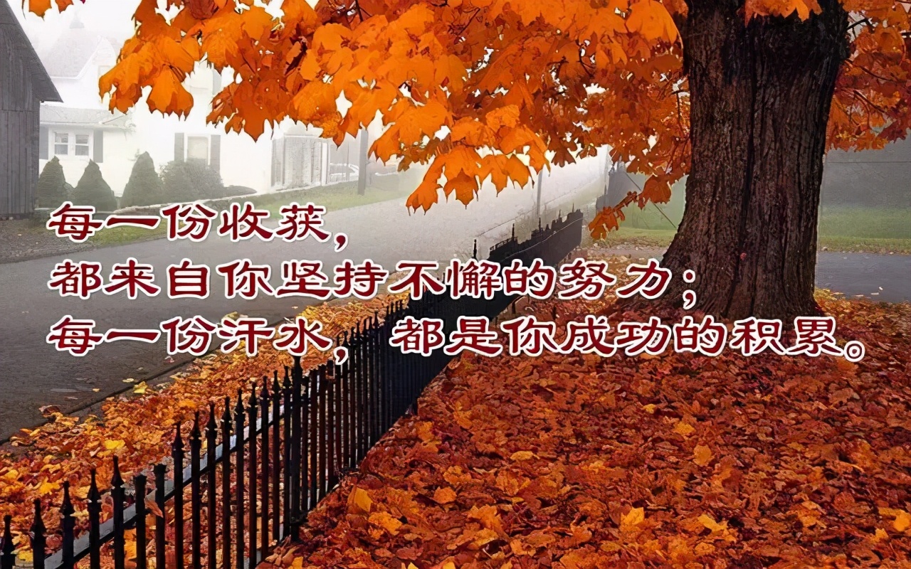 我想对自己说鼓励的话 送给自己鼓励的一句话（精选69句）图片