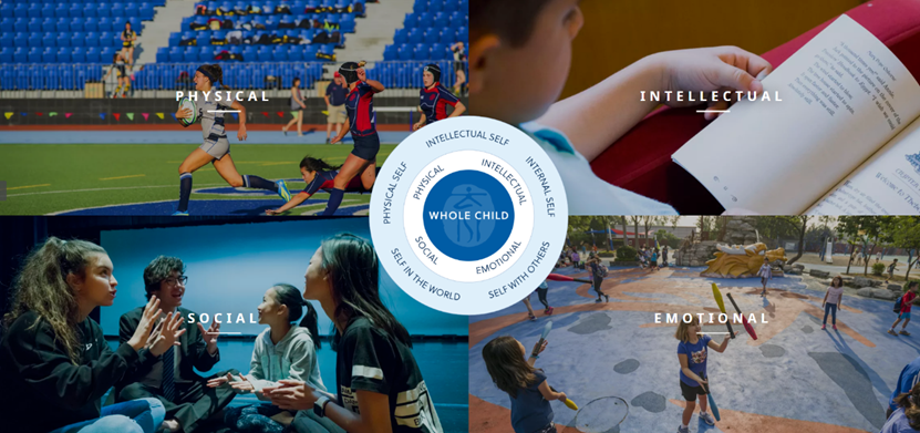 中国大陆最早开设IB课程，北京IB学校大盘点