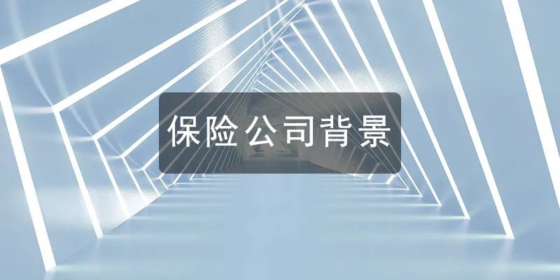 坤鹏论保：扒一扒保险公司们的后台，为什么说保险没有小公司？