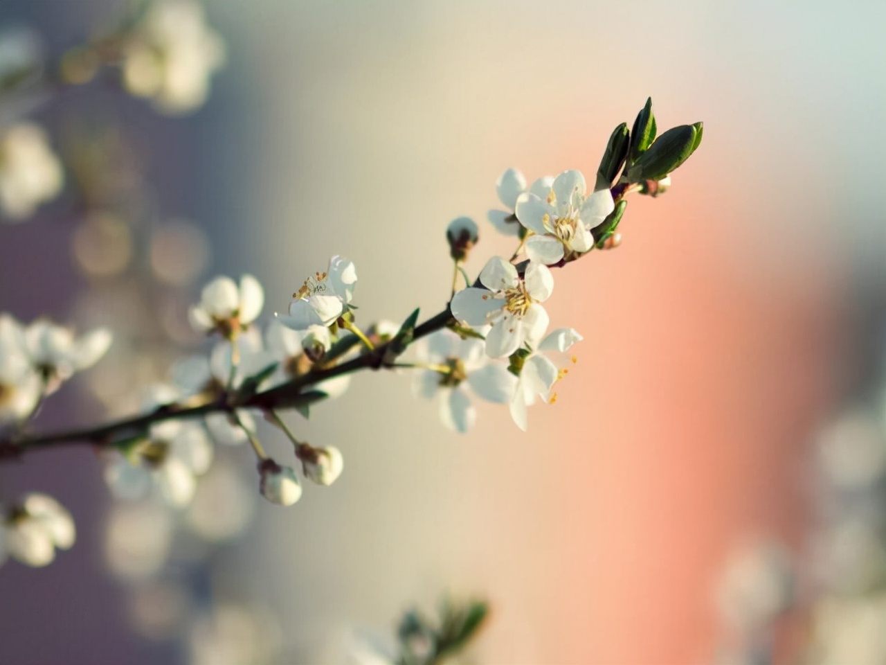 摩羯座带给世人的四个知识点，值得借鉴