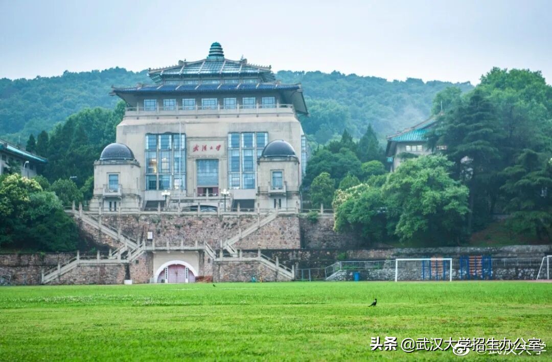 常年霸占热搜的武汉大学，除了樱花，还有什么可