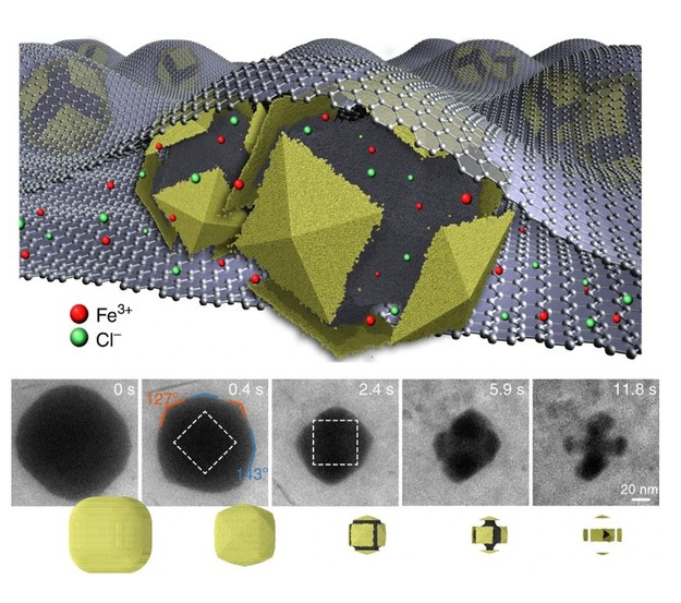 近日，苏州大学教授团队研究成果登上Nature子刊！