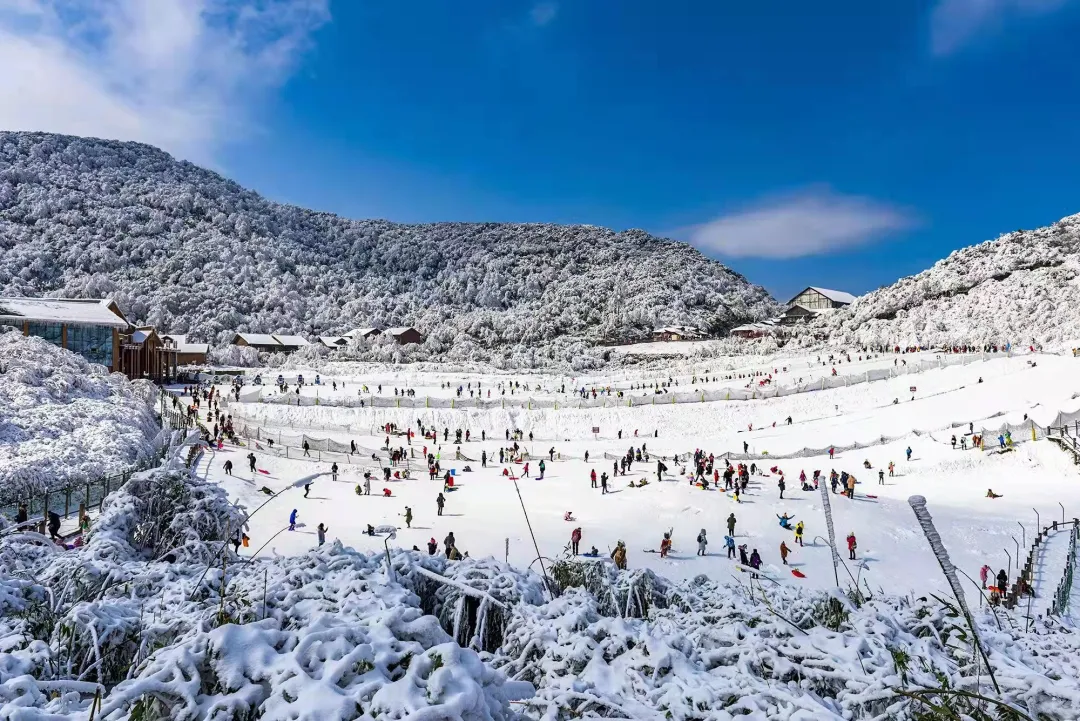 冬雪落下的刹那，金佛山美成了童话！