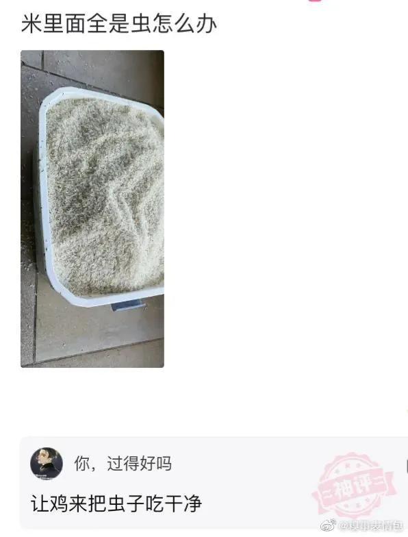“旁边的女同事穿成这样，有点过分了啊！”玩够评论笑得肚子疼