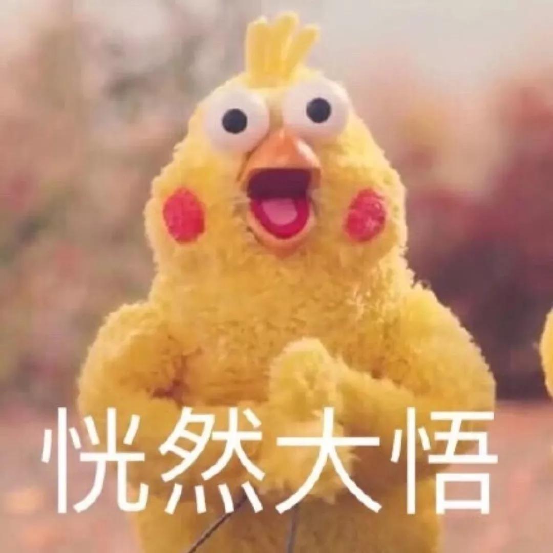 汽车型号里的Pro是什么意思？看到TA终于搞明白啦