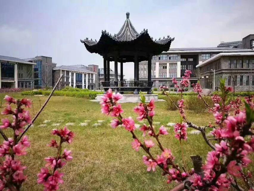 盘点国内中医药大学校训，带你看山中医最新校训