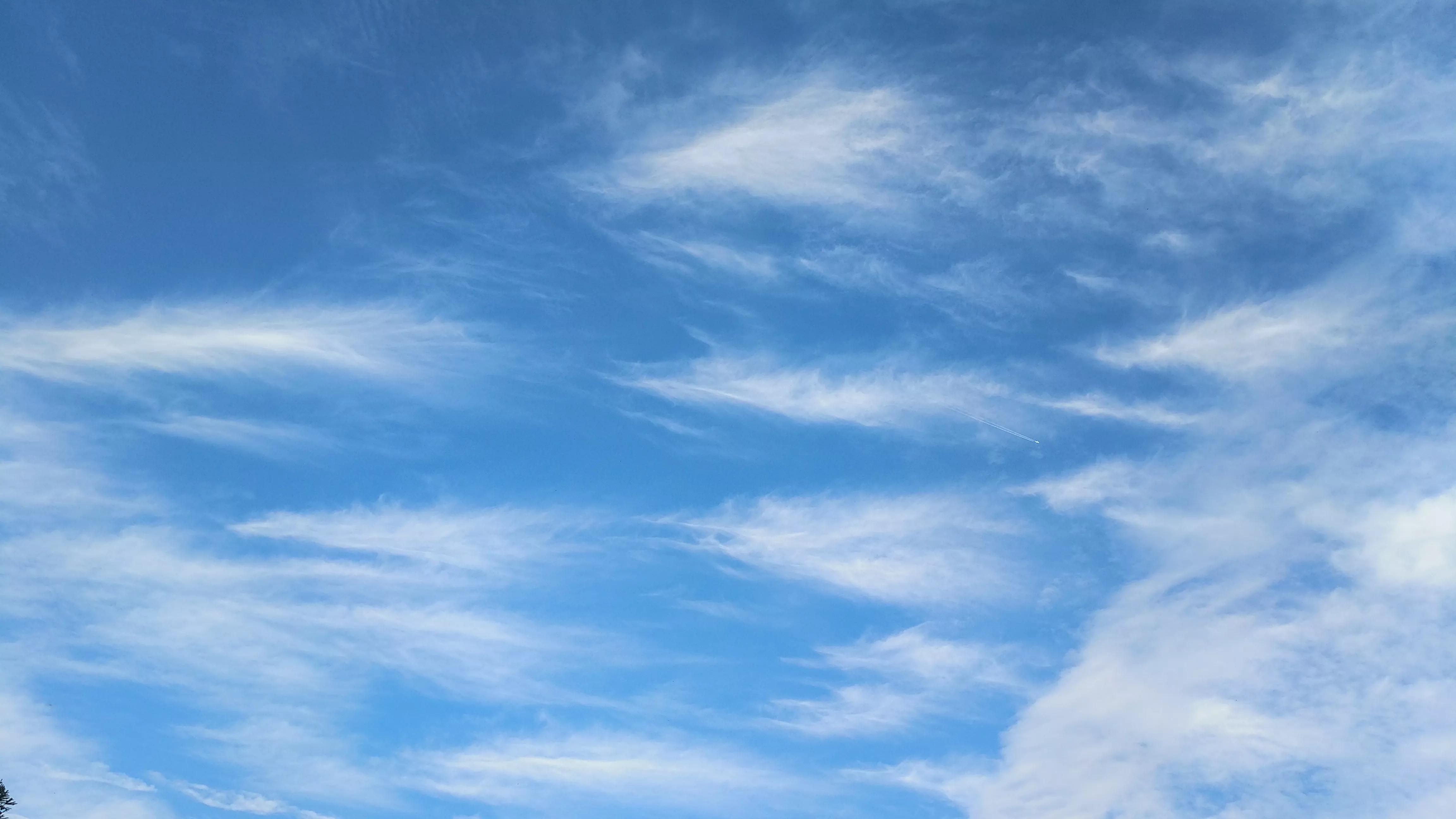 云淡风轻,秋高气爽,让我们在这美好的秋日里,积累秋诗