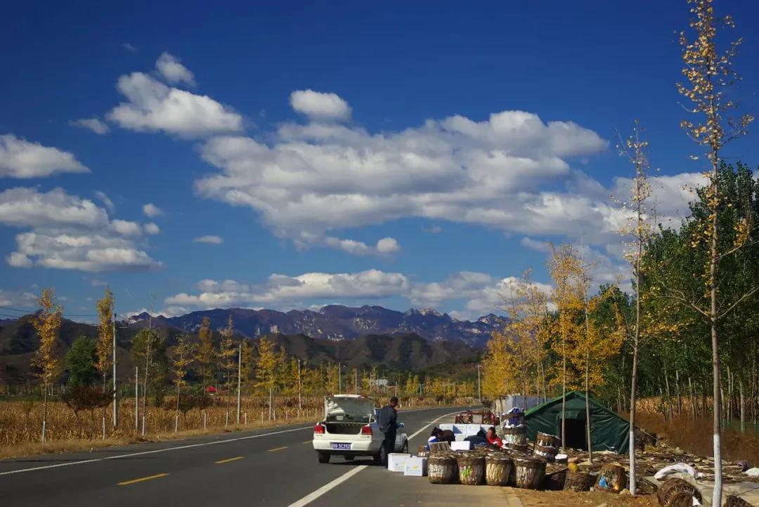 赏秋时节 </p><p>　　 打卡京郊这10条乡村公路，藏着北京最美的秋天