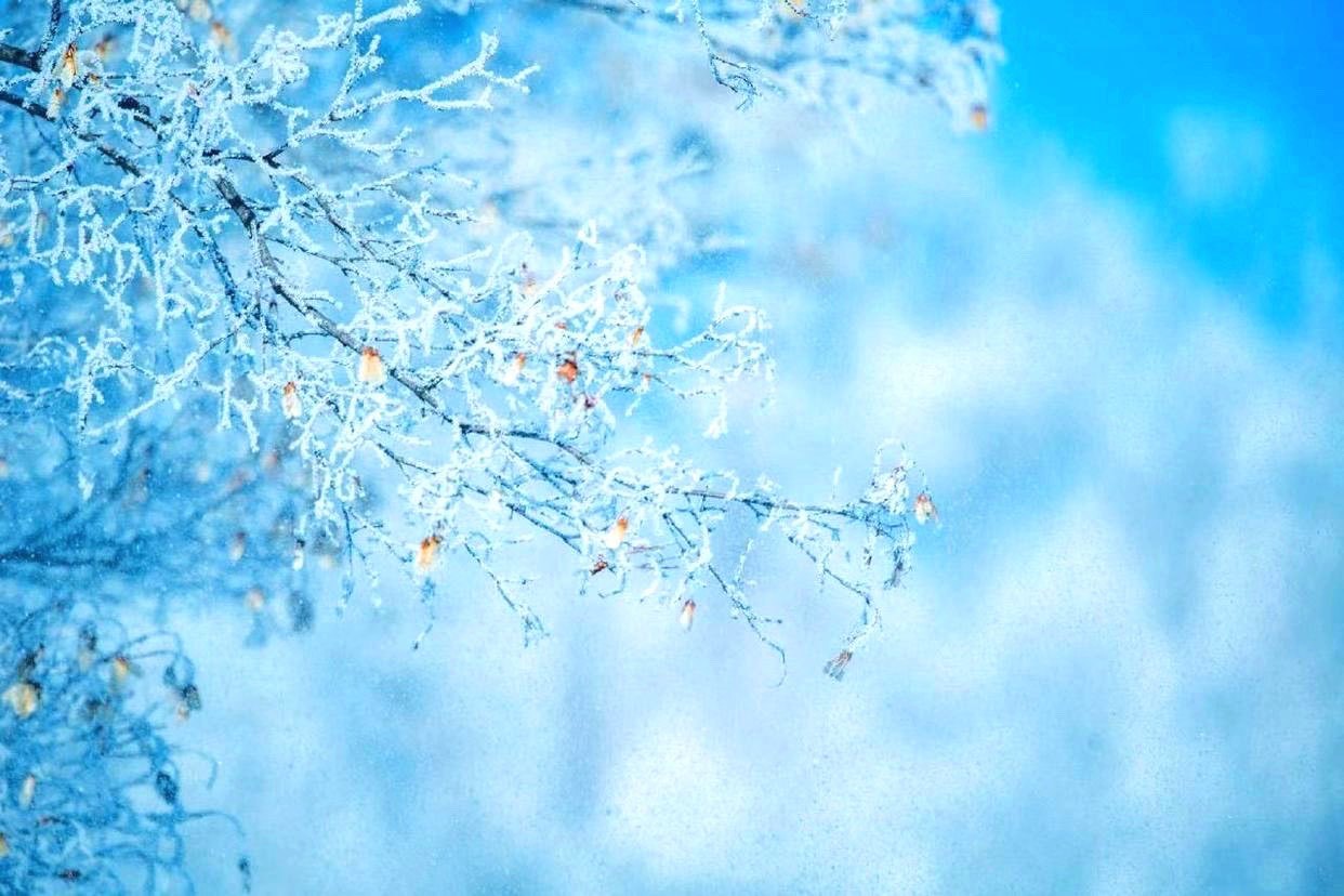 结婚947万对，离婚415万对：只索取不付出，计较夫妻甩锅快餐婚姻