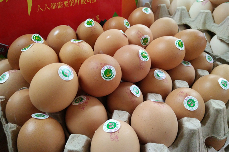 80岁奶奶传授正宗荷包蛋制作秘诀