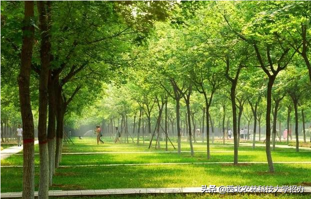 曝光！这，就是西北农林科技大学的7宗