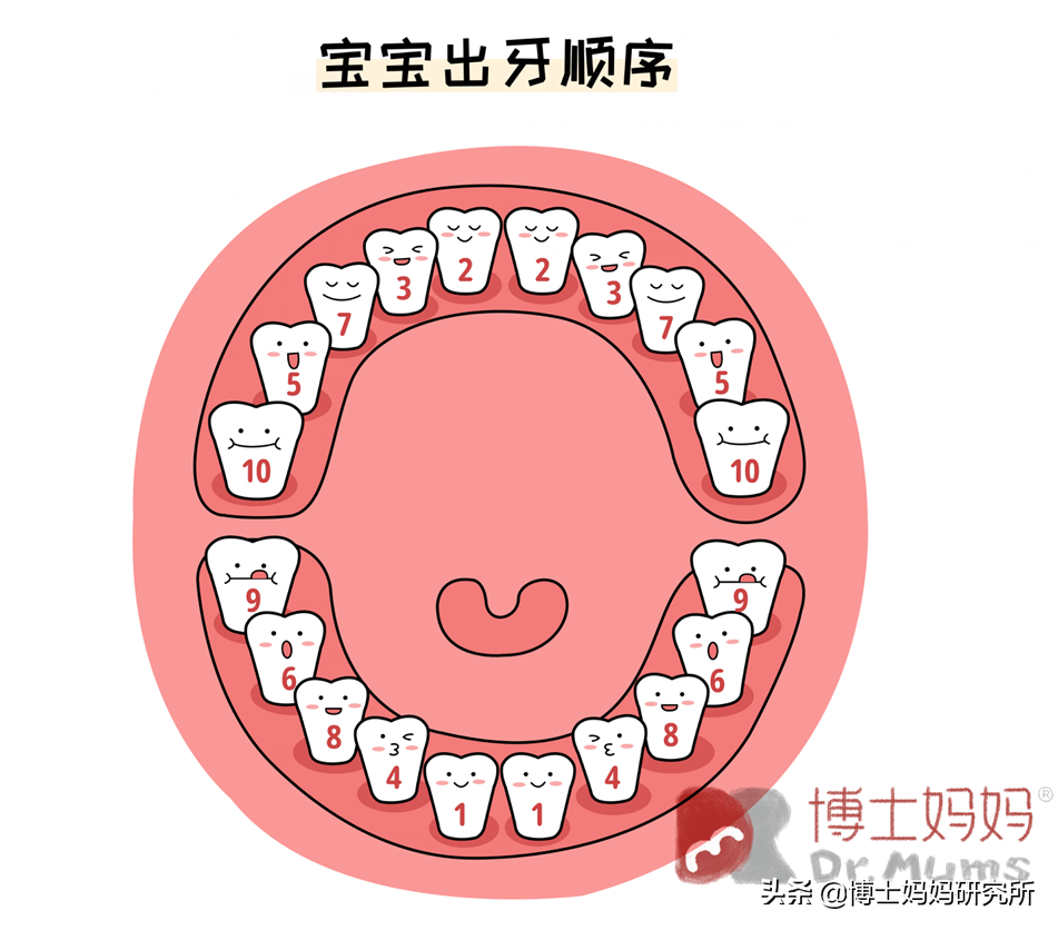 宝宝牙齿漂亮，让颜值翻倍！关于牙齿及口腔护理，一篇文章说清楚