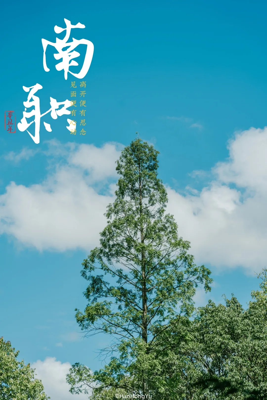 超好看！四川各高职院校专属壁纸，建议收藏