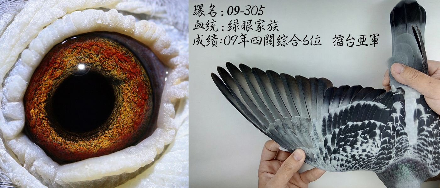 异色反目当优？