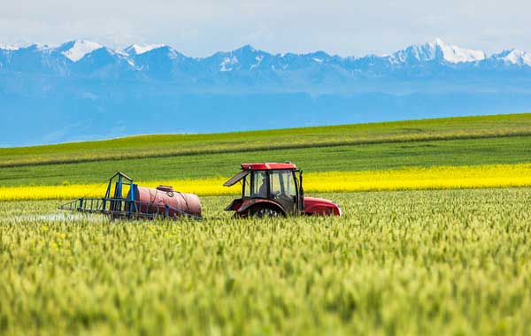 艰辛而实在的援疆路