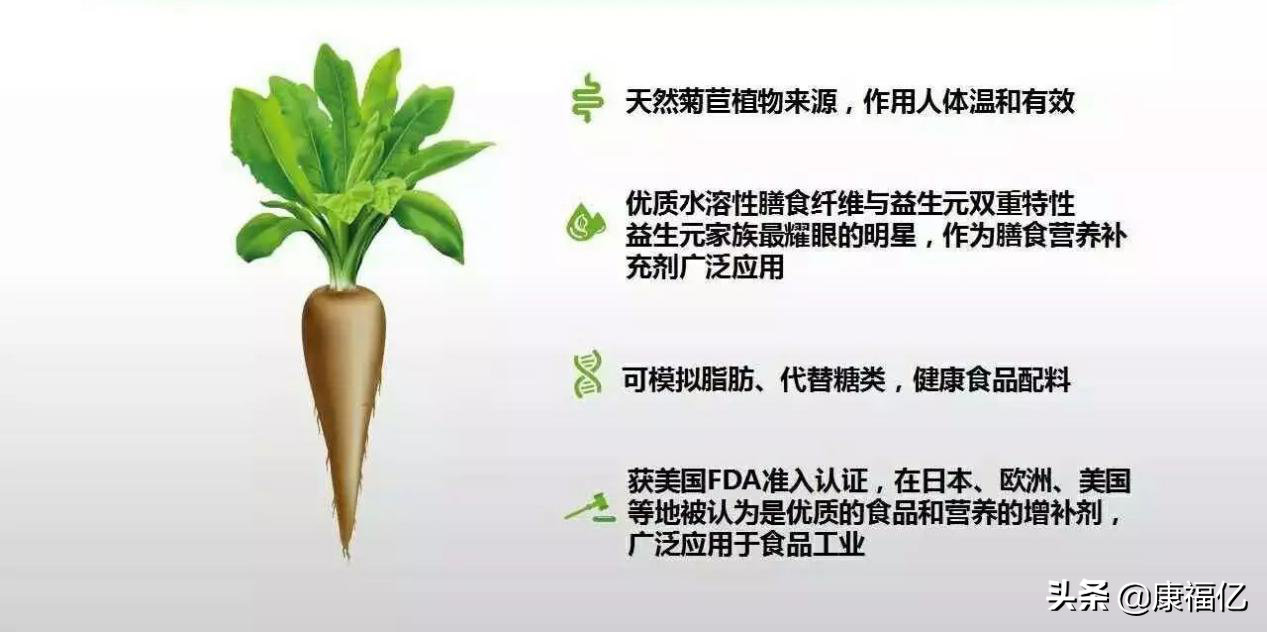 菊粉的功效和作用图片