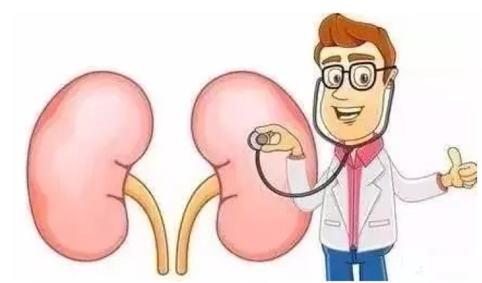 **十大补肾壮阳中成药推荐：药师权威指导用药指南**