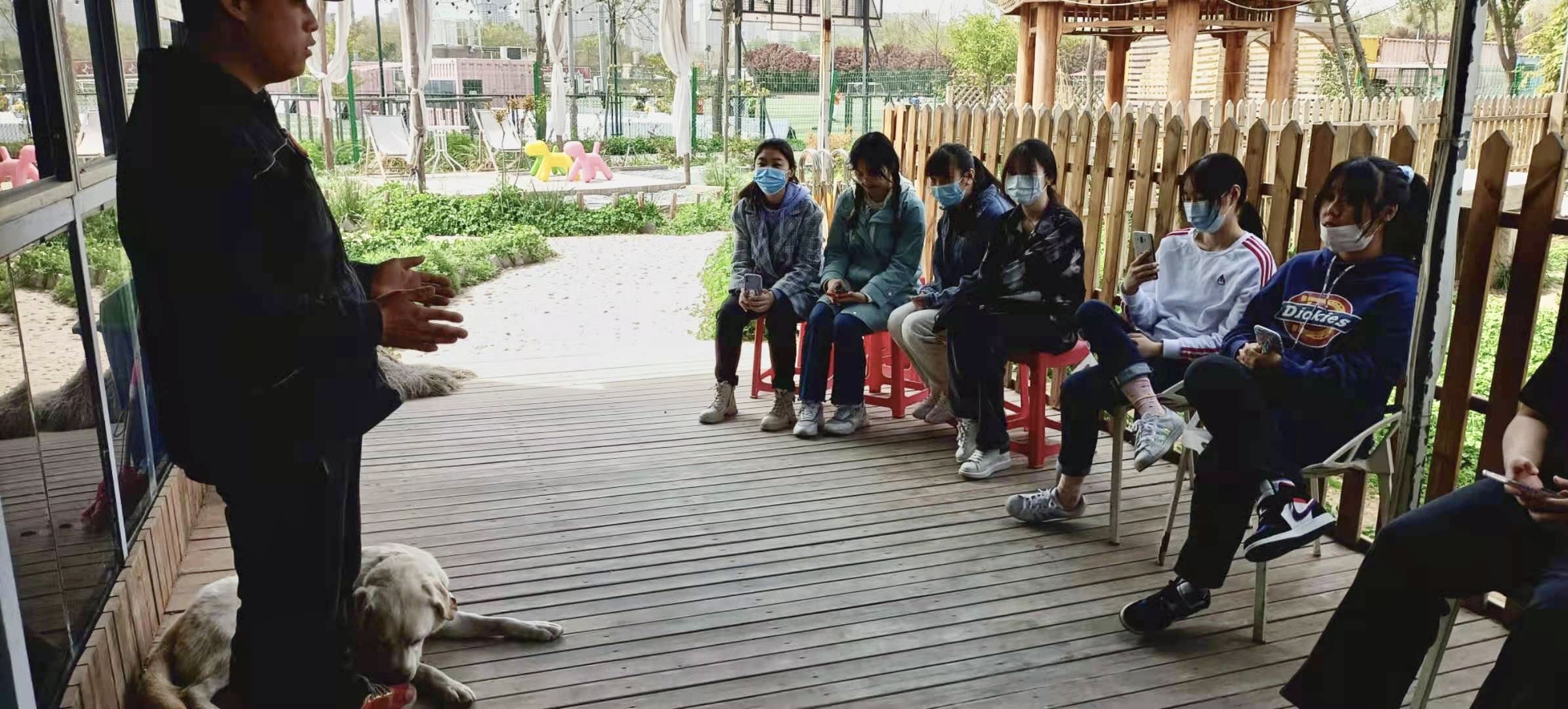 什么是2000万人关注的导盲犬基地？在这里，狗和志愿者才是主角