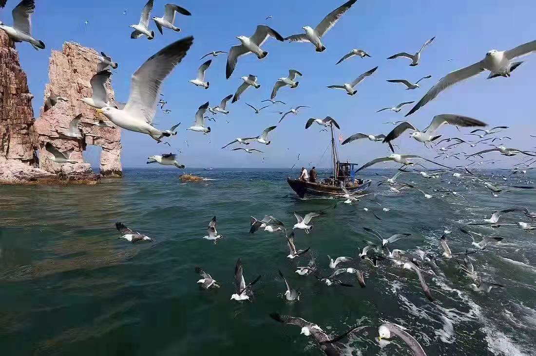 论海洋生态文明建设