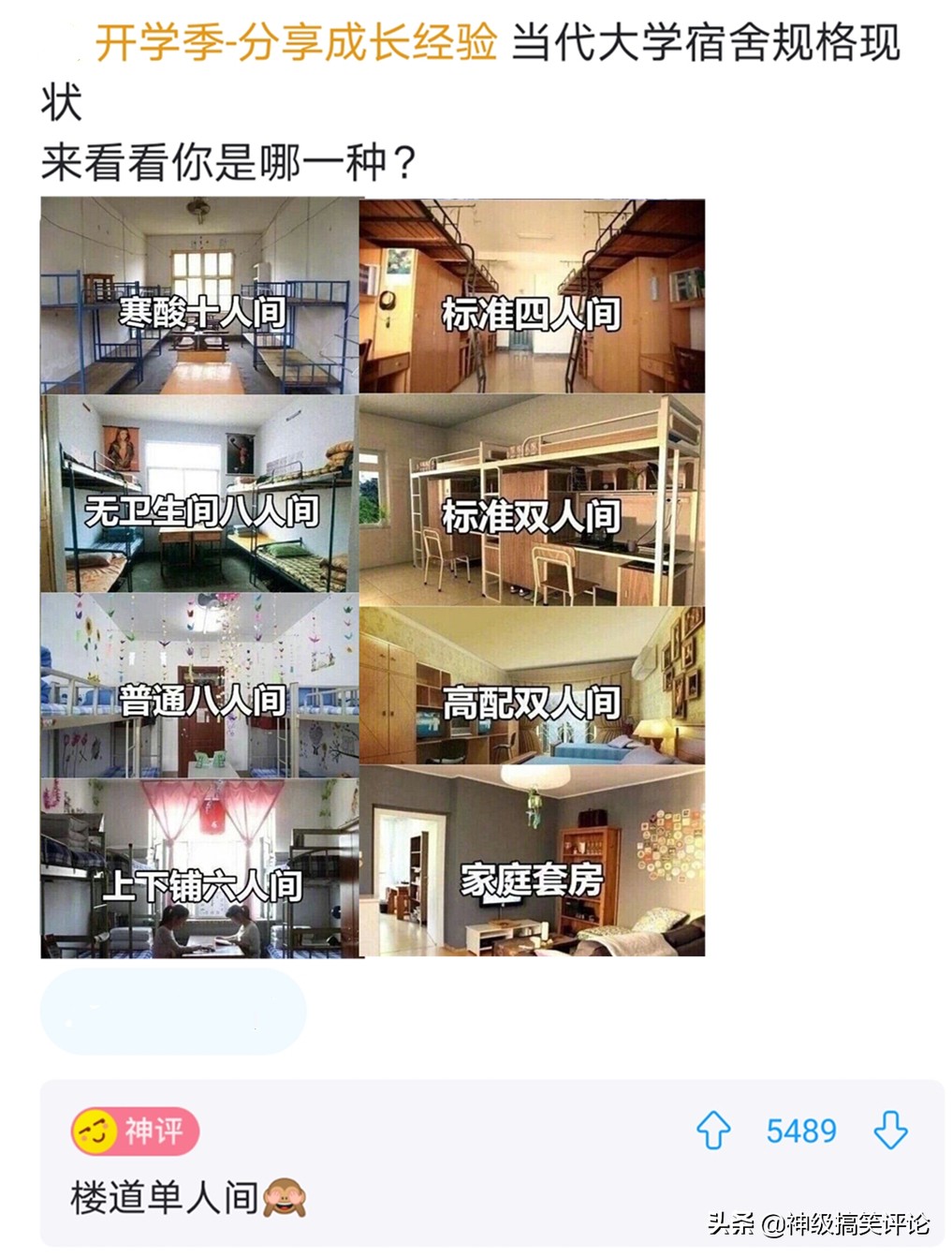 网友调侃“减肥成功”，主人解释竟是因猫粮被偷，猫咪已转行开火锅店！