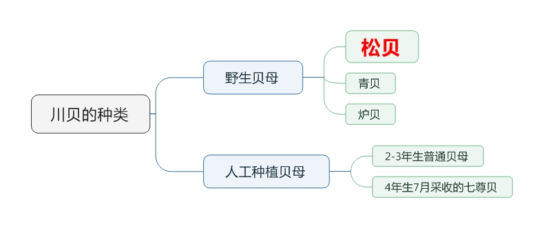 川贝母多少钱一克，川贝母为什么那么贵