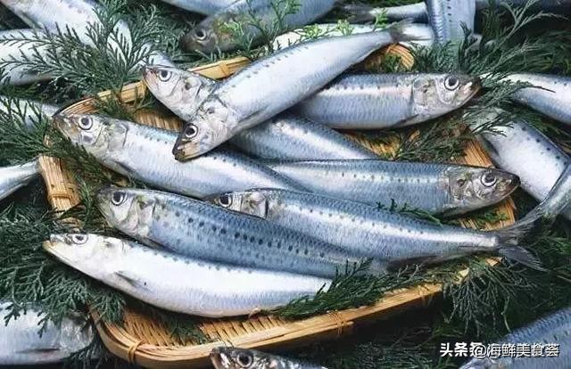 海洋变色龙是什么动物（营养价值可不容小觑）