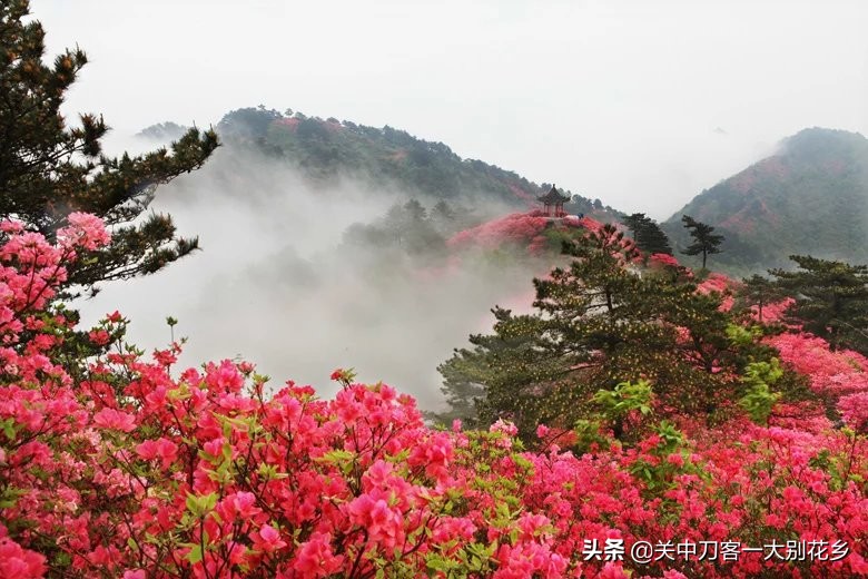 语文教学：修辞手法、表达方式、表现手法