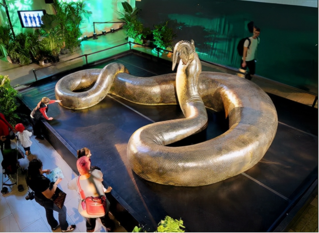 世界最大的蟒蛇,世界最大的蟒蛇有多长,多重?