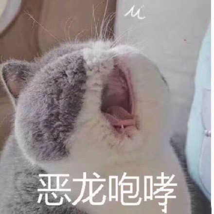 猫咪表情包合集｜呜呜呜，这是什么人间疾苦