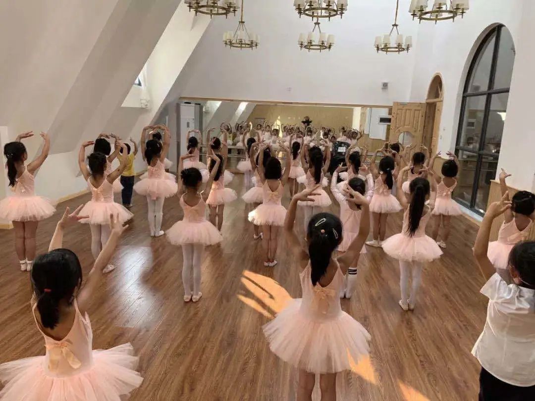 城北高端私立学校！新川vs巴德，选哪所更明智？