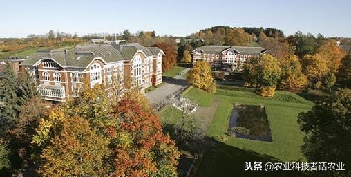 中国农大，荷兰农大，美国农大，日本农大，谁是世界第一农大