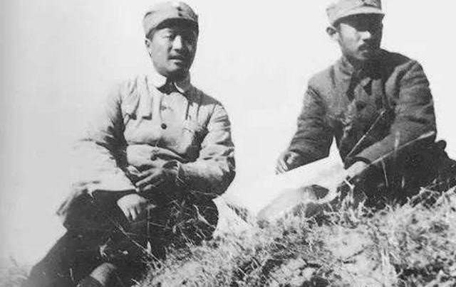 柴胡栏子事件：老农策划柴胡子村案