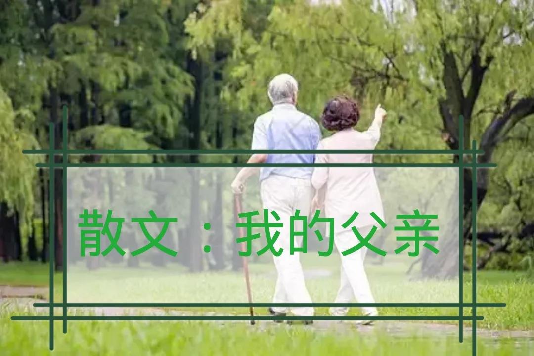 乡村散文：我的父亲