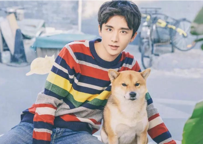 明星高考成绩：张新成随便一考成传奇，马嘉祺认真备考反被嘲