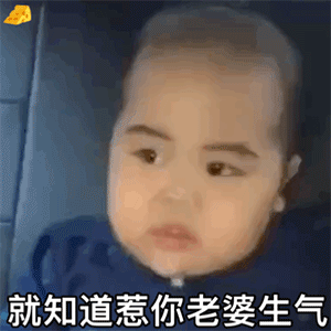 表情包：废物！就知道惹你老婆生气