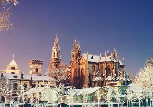 凭啥和山东师大比？录取线低13分，全是C类学科：青岛医学院