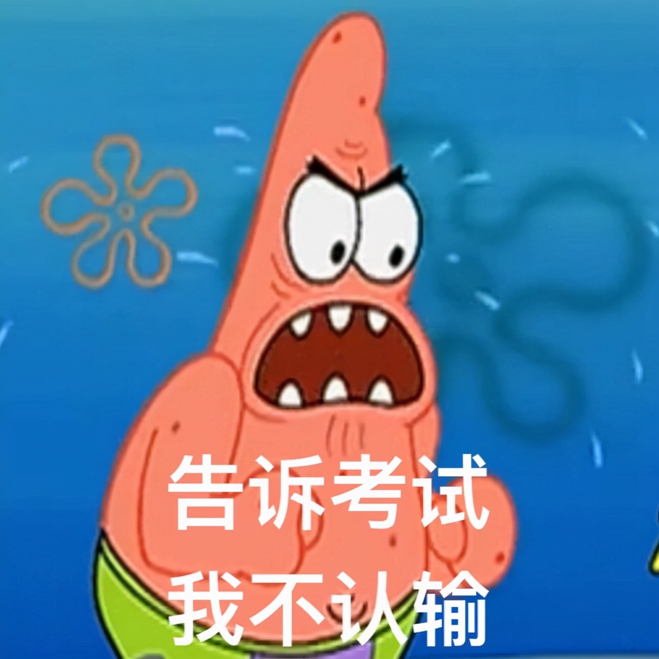 统招和自考的区别